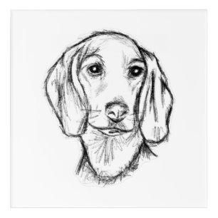 dachshund hand drawn sketch black white puppy dog acrylic print