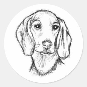 dachshund hand drawn sketch black white puppy dog classic round sticker
