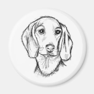 dachshund hand drawn sketch black white puppy dog  magnet