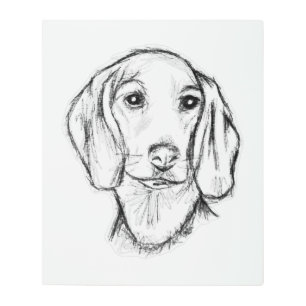 dachshund hand drawn sketch black white puppy dog metal print