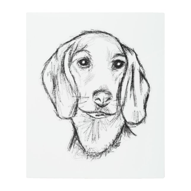 dachshund hand drawn sketch black white puppy dog  metal print (Front)