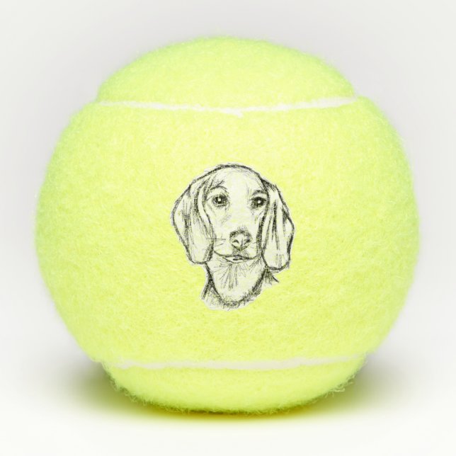 dachshund hand drawn sketch black white puppy dog  tennis balls (Front)