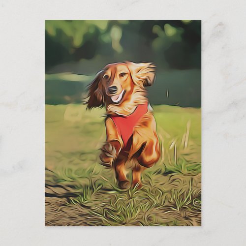 Dachshund Happy Longhair Dachshund Is Running Post Postcard