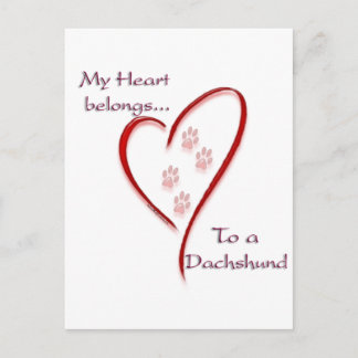 Dachshund Heart Belongs Postcard