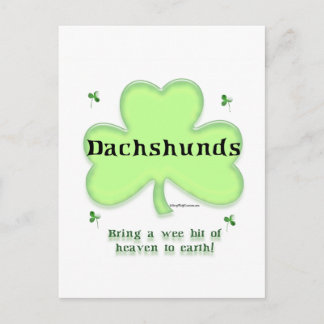 Dachshund Heaven; St. Patrick's day Dachshund Postcard