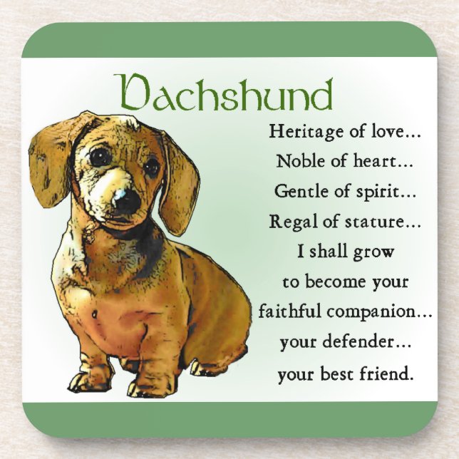 Dachshund Heritage of Love Drink Coaster (Front)