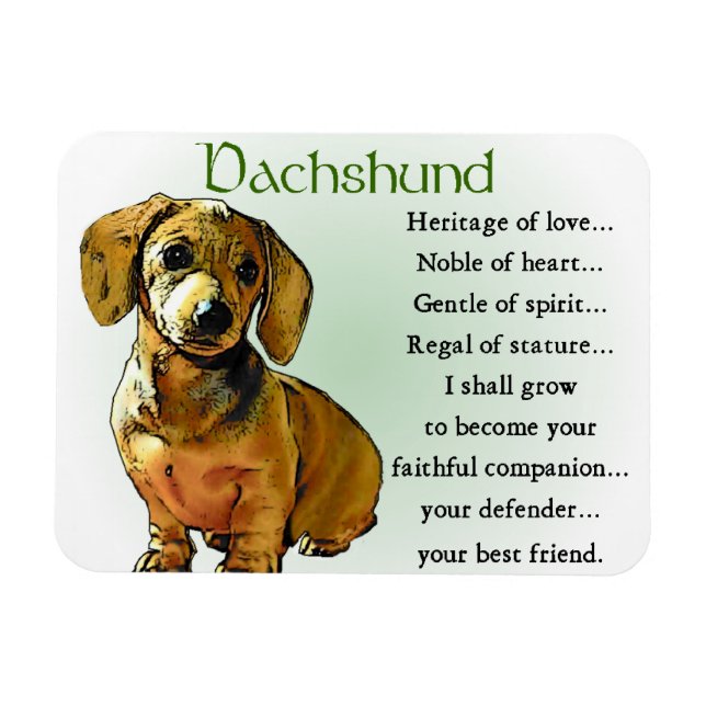 Dachshund Heritage of Love Magnet (Horizontal)