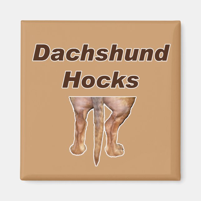 Dachshund Hocks magnet (Front)
