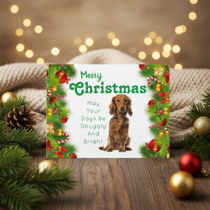 Dachshund  holiday postcard