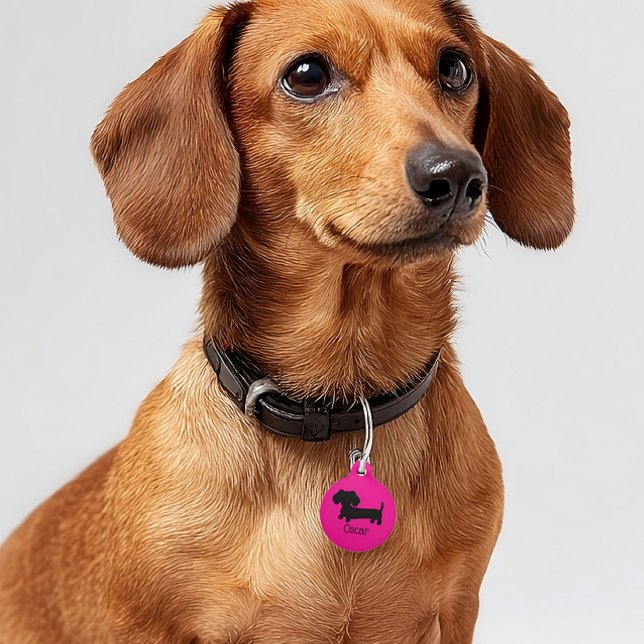 Dachshund ID Dog Tags Personalized Pink (Wiener dog ID dog tag)