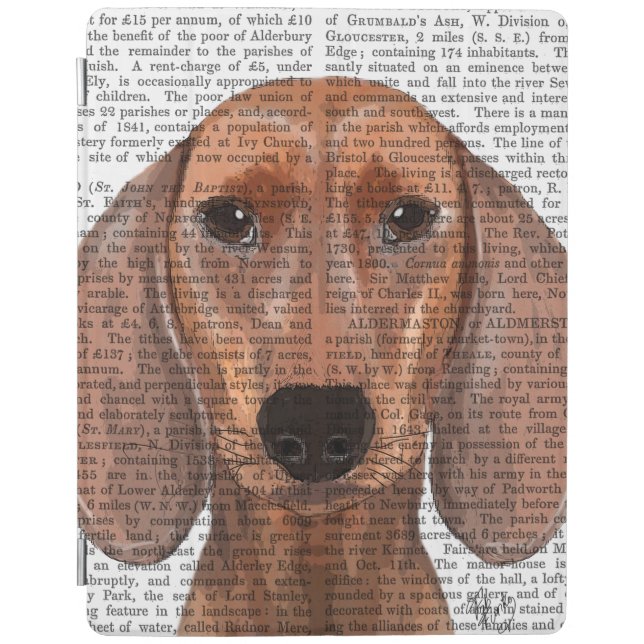 Dachshund Illustration Plain iPad Air Cover (Front)