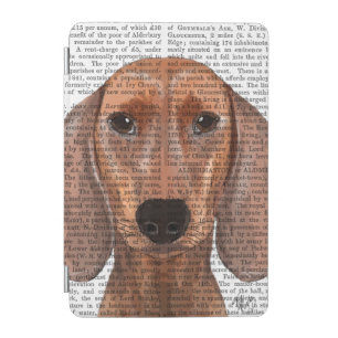 Dachshund Illustration Plain iPad Mini Cover