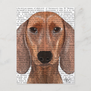 Dachshund Illustration Plain Postcard