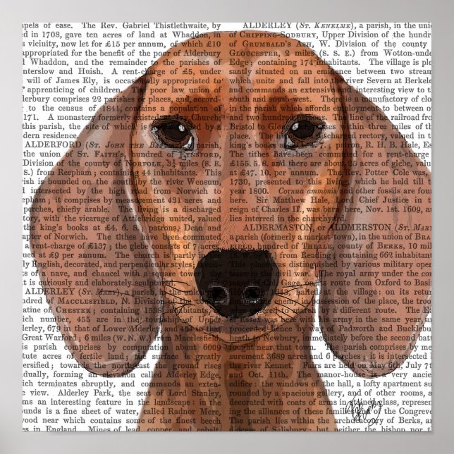 Dachshund Illustration Plain Poster (Front)