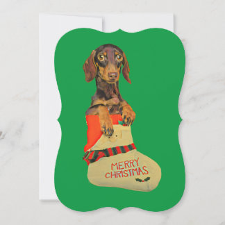 Dachshund in a Christmas Stocking Holiday Card