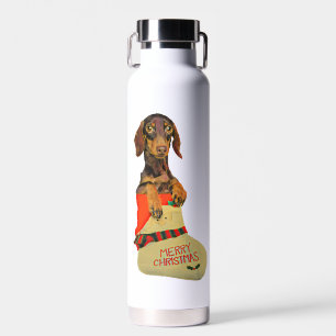 Dachshund in a Santa Claus Christmas stocking Water Bottle