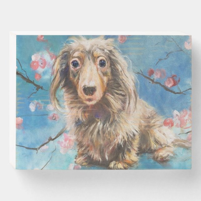 Dachshund in Cherry Blossoms Wood Box Sign (Front Horizontal)