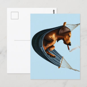 Dachshund in Hammock Postcard