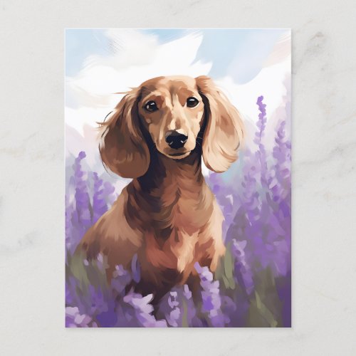 Dachshund in Lavender field Postcard
