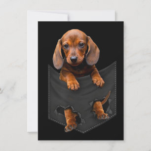 Dachshund In My Pocket Dachshund Weiner Dog Gift Invitation