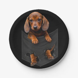 Dachshund store paper plates