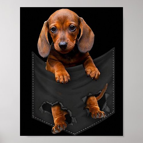 Dachshund In My Pocket Dachshund Weiner Dog Gift Poster