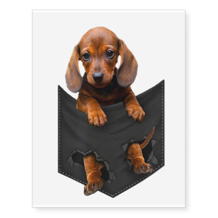 Dachshund In My Pocket Weiner Dog Temporary Tattoos
