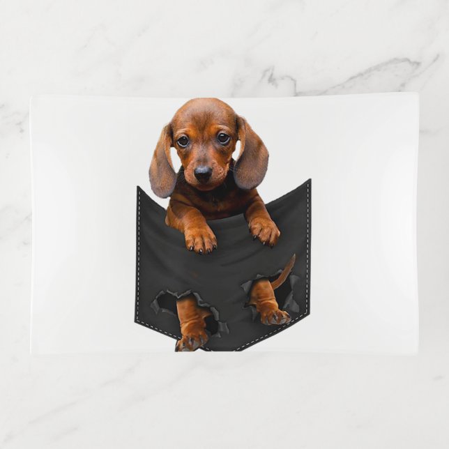 Dachshund In My Pocket Weiner Dog Trinket Tray (Front)