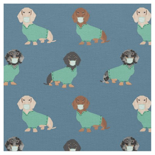 Dachshund in scrubs dark blue fabric