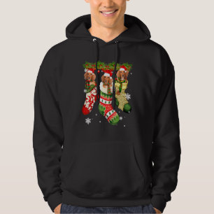 Dachshund In Sock Christmas Santa Hat Xmas Dog Hoodie