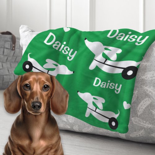Dachshund IVDD Wheelchair Wiener Dog Green Blanket