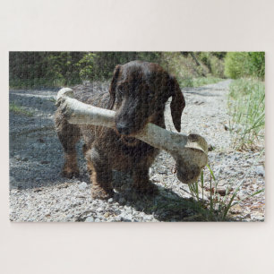 Dachshund Jigsaw Puzzle