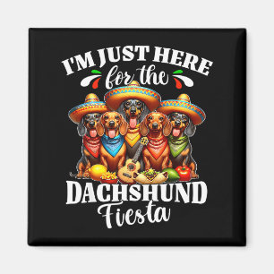 Dachshund just here for cinco de mayo dachshund magnet