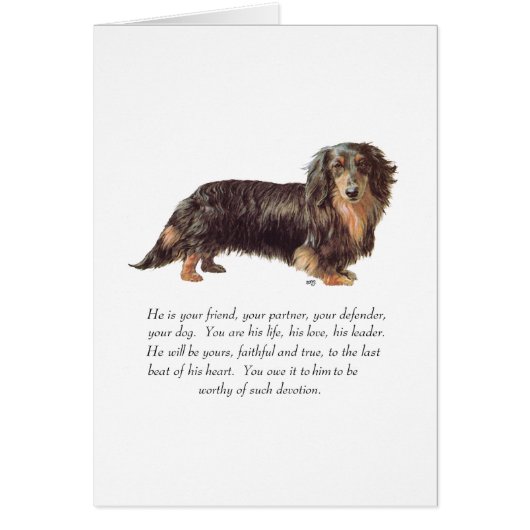 Dachshund Keepsake - Male Cards (Front)