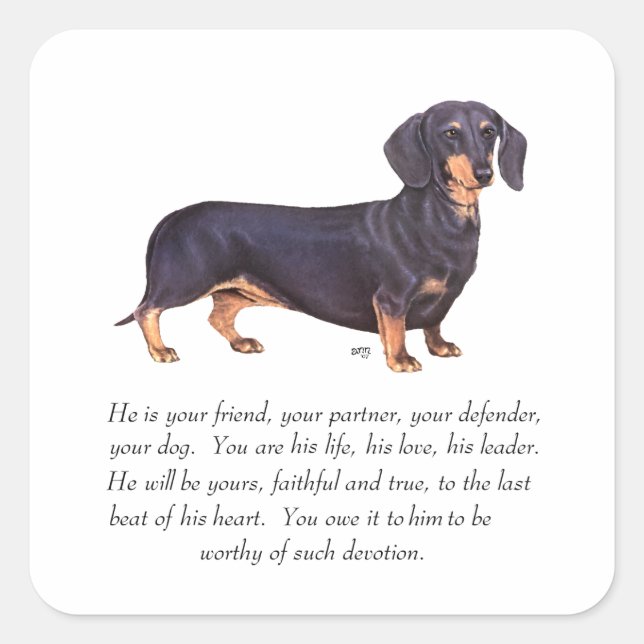 Dachshund Keepsake - Male Square Sticker (Front)