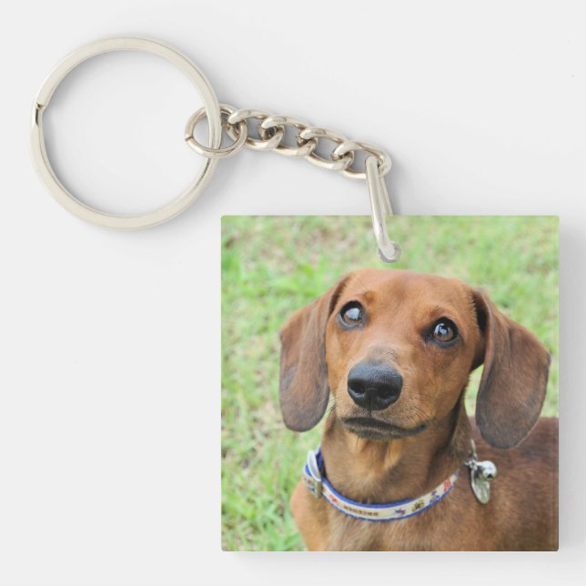 Dachshund  keychain (Front)