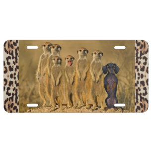 Dachshund License Plate