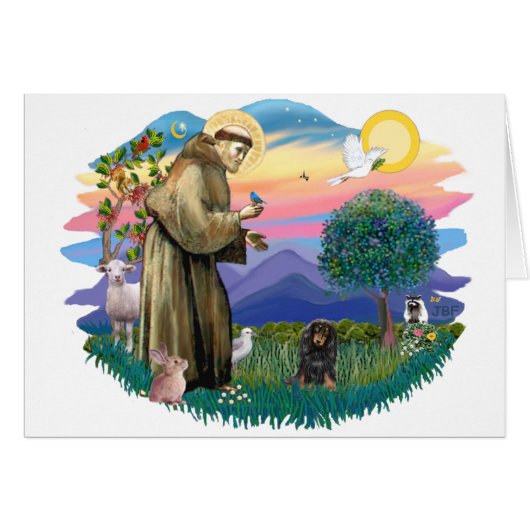 Dachshund (long haired black-tan) cards (Front Horizontal)