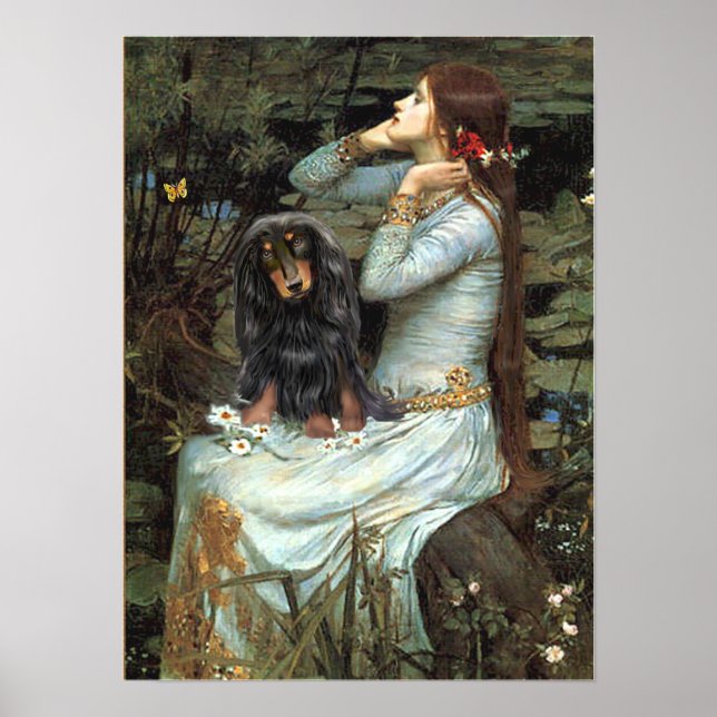Dachshund (long haired BT) - Ophelia Seated Poster (Front)