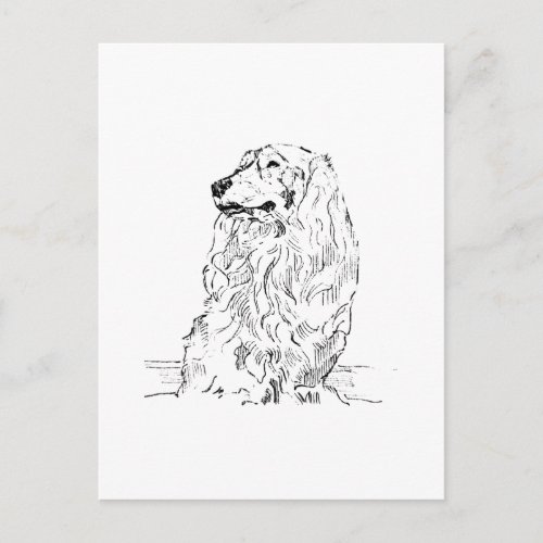 Dachshund – Long Haired Sausage Dog Postcard