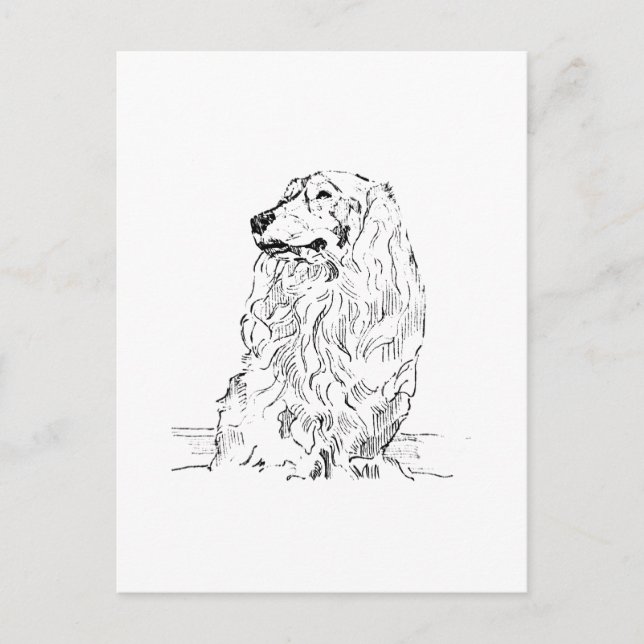 Dachshund – Long Haired Sausage Dog Postcard (Front)