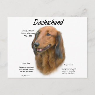 Dachshund (longhair) History Design Postcard