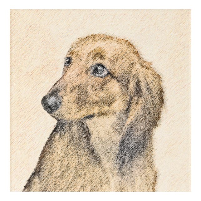 Dachshund (Longhaired) Painting - Original Dog Art (Front)