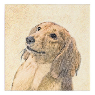 Dachshund (Longhaired) Painting - Original Dog Art