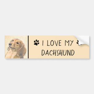 Dachshund (Longhaired) Painting - Original Dog Art Bumper Sticker