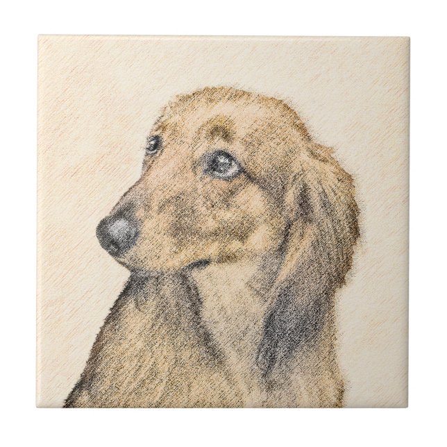 Dachshund (Longhaired) Painting - Original Dog Art Ceramic Tile (Front)