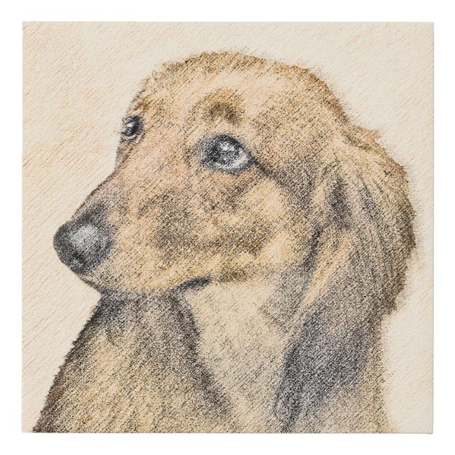 Dachshund (Longhaired) Painting - Original Dog Art Faux Canvas Print (Front)