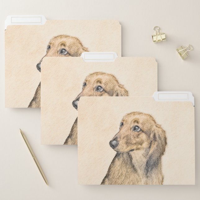 Dachshund (Longhaired) Painting - Original Dog Art File Folder (Set)