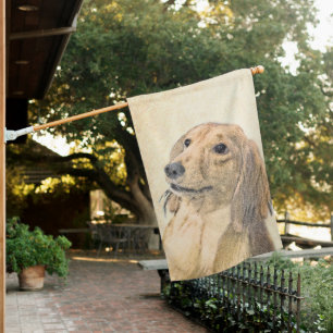 Dachshund (Longhaired) Painting - Original Dog Art House Flag