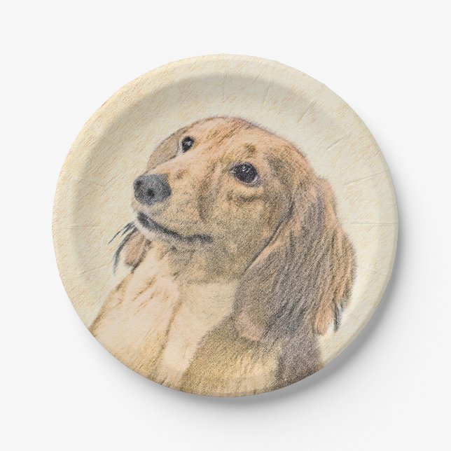 Dachshund (Longhaired) Painting - Original Dog Art Paper Plates (Front)